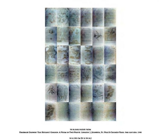 Akos Czigany – Darwin on line