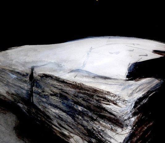 Biennale dell’Incisione Contemporanea Città di Bassano del Grappa 2008