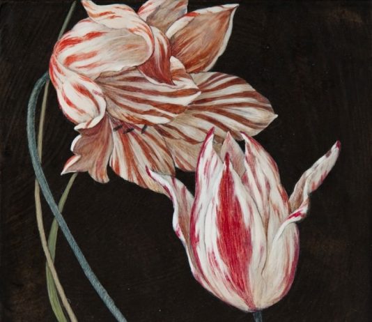 Daniela Trabucco – Frammenti dipinti su tavola