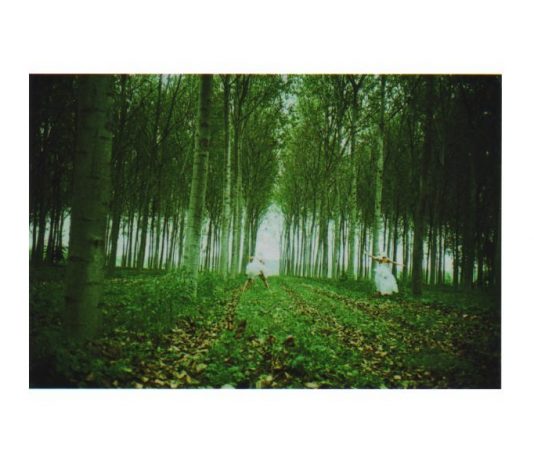 Filippo Cavalli – Ed ecco che’l furioso caso e strano