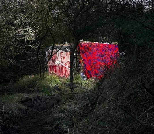 Jean Revillard – Jungles Jean Revillard – Jungles