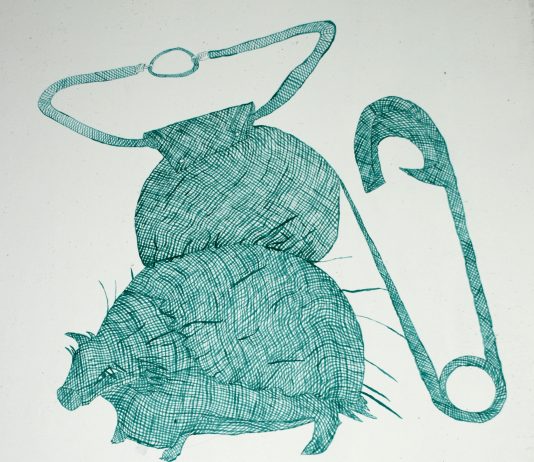 Laura Palmieri – Mostra di disegni