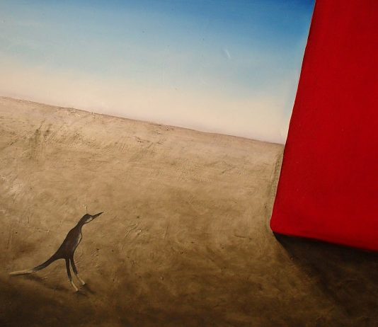 Martino Neri – Immagini come prodotto di riflessione sulla fine delle cose