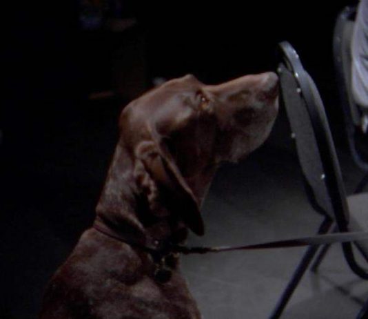 Neïl Beloufa – Changes of administrations