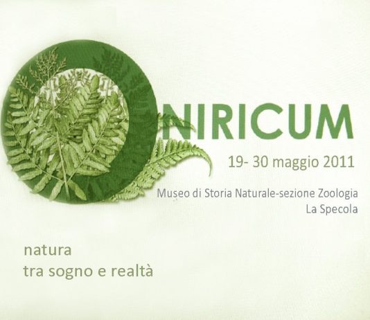 Oniricum. Natura tra sogno e realtà