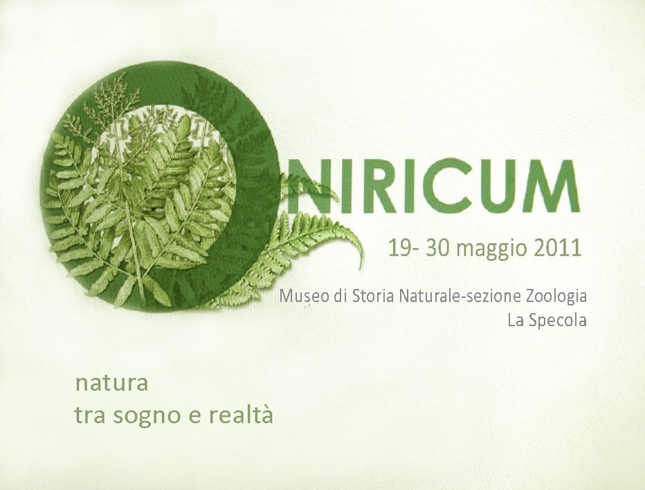 Oniricum. Natura tra sogno e realtàhttps://www.exibart.com/repository/media/eventi/2011/04/oniricum.-natura-tra-sogno-e-realtà.jpg