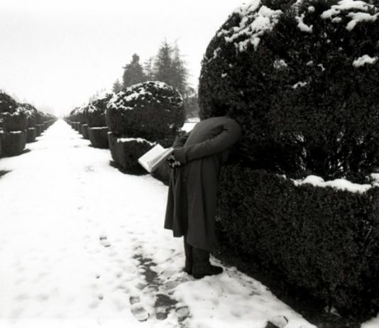 Pietro Bandini – Trame