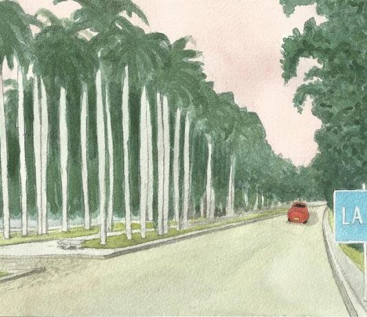 Roberto Perini – Habana