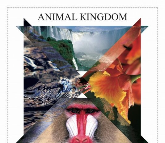 Say Dubai – Animal Kingdom