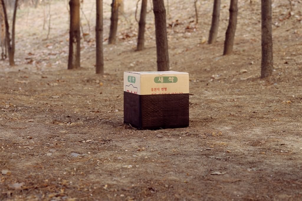 Valerio Ricci – Soulhttps://www.exibart.com/repository/media/eventi/2011/04/valerio-ricci-8211-soul.jpg