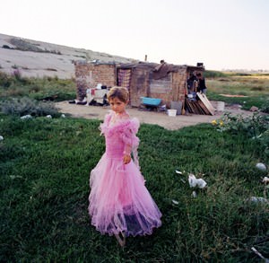 Alfredo D’Amato – Cocalari