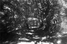 Davide Brambati – La Porta del Cielo