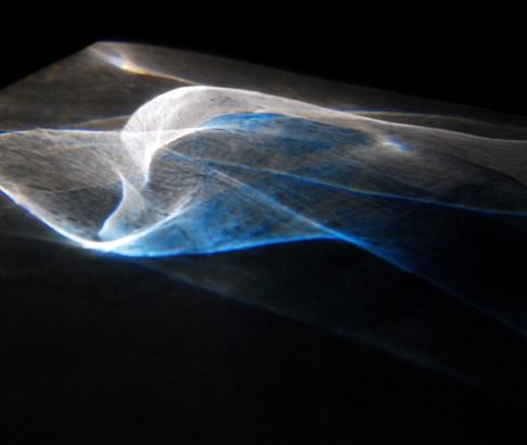 Elena Baldelli –  AMNIOTIC cell