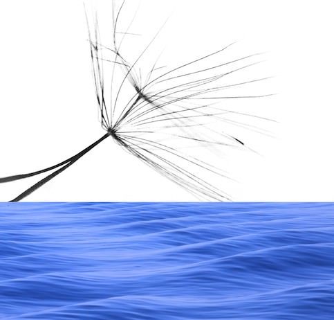 Franco Tavaroli / Claudio Gazzoni – Blu oltremare / Di fronte e attraverso