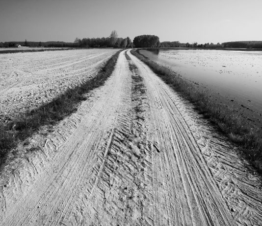 Gianni Maffi – Paesaggi d’acqua. Immagini del territorio lombardo tra Milano e Pavia