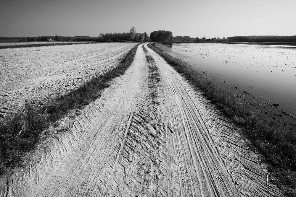 Gianni Maffi – Paesaggi d’acqua. Immagini del territorio lombardo tra Milano e Paviahttps://www.exibart.com/repository/media/eventi/2011/05/gianni-maffi-8211-paesaggi-d8217acqua.-immagini-del-territorio-lombardo-tra-milano-e-pavia.jpg