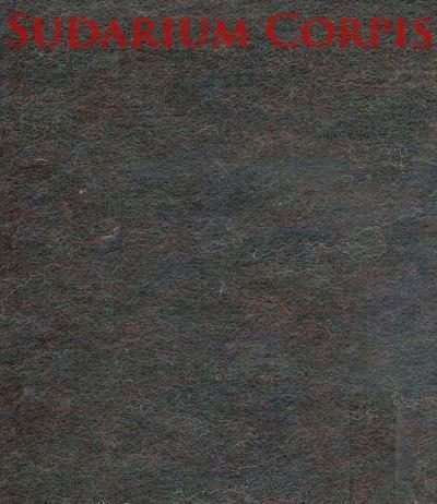 Gionatan Salzano / Luca Gioacchino Di Bernardo – Sudarium Corporis