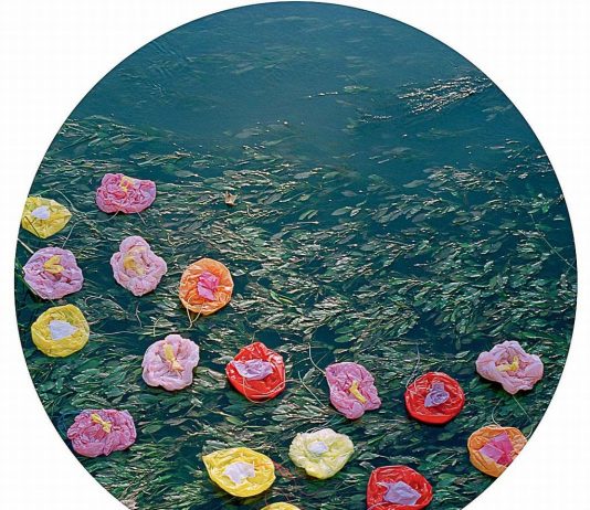 Goldiechiari – Ninfee