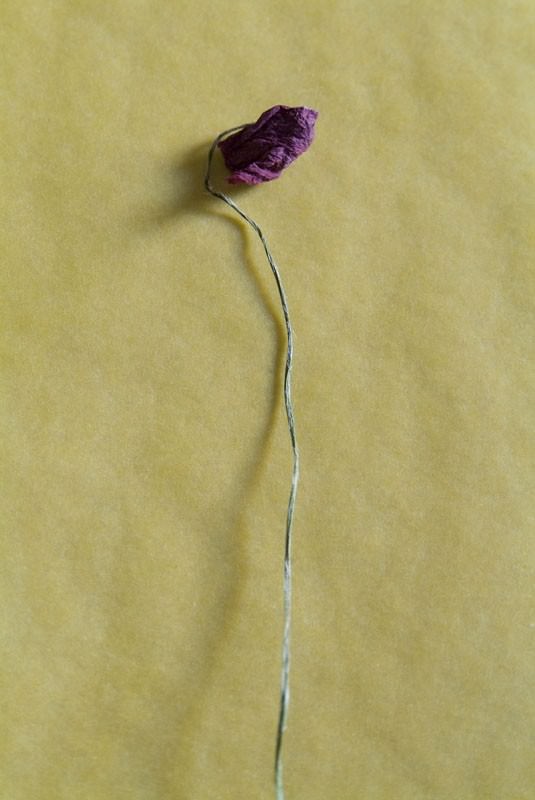 HistoriaNaturalis-2. Erbariohttps://www.exibart.com/repository/media/eventi/2011/05/historianaturalis-2.-erbario-1.jpg