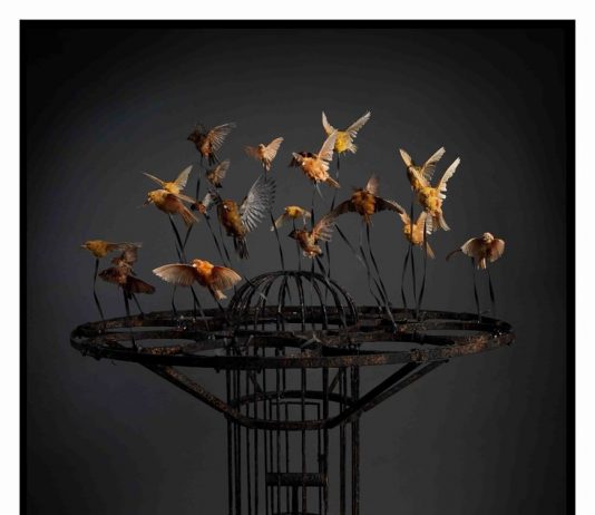 Polly Morgan – Burials