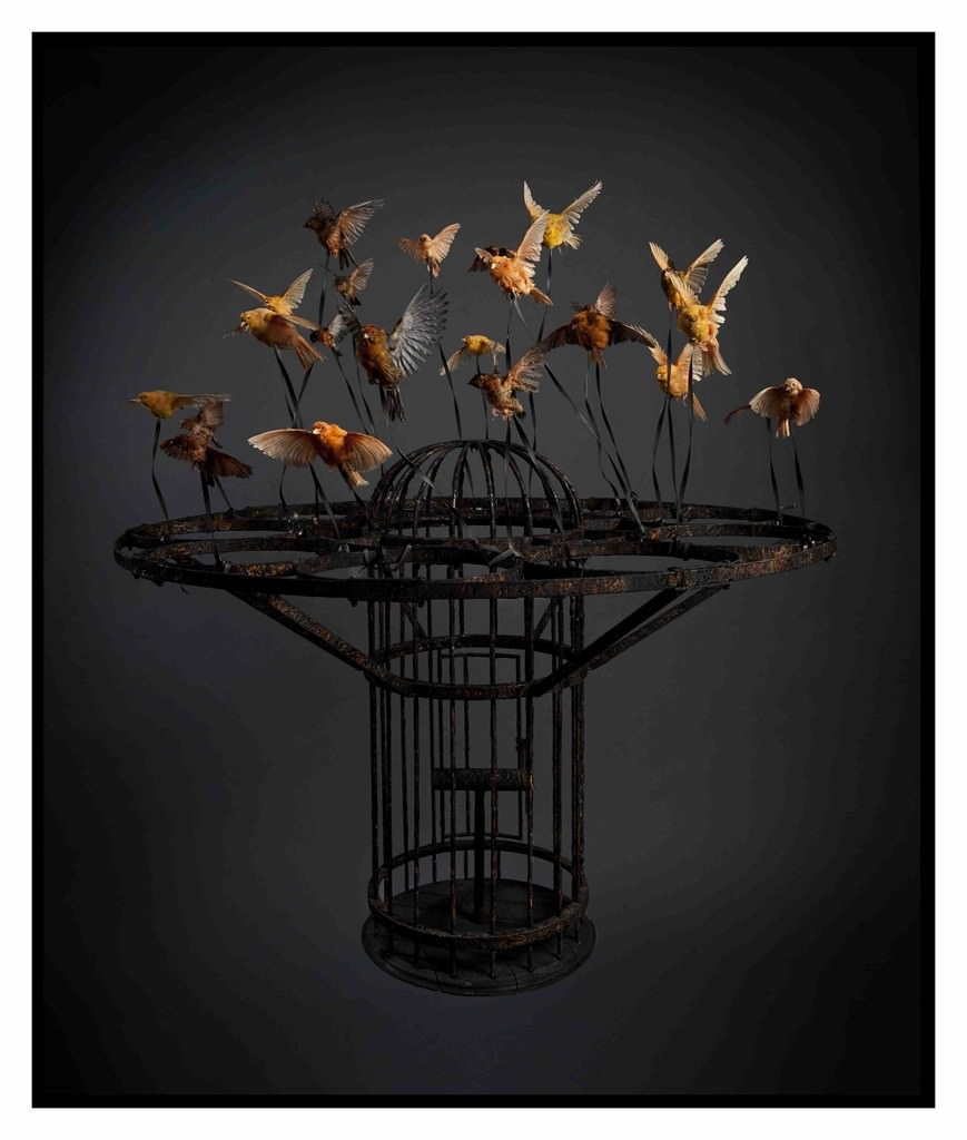 Polly Morgan – Burialshttps://www.exibart.com/repository/media/eventi/2011/05/polly-morgan-8211-burials.jpg