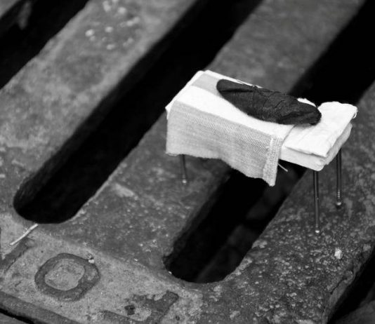 Tommaso Franchi – Lettini