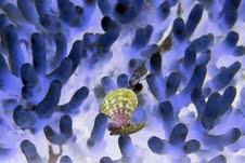 Vittoria Amati – Creature da amare Vittoria Amati – Creature da amare