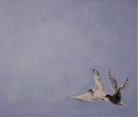 Diana Kirova Diana Kirova