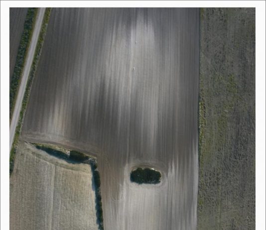 Francesco Cubeddu – Serendipità. Quadrografie Francesco Cubeddu – Serendipità. Quadrografie