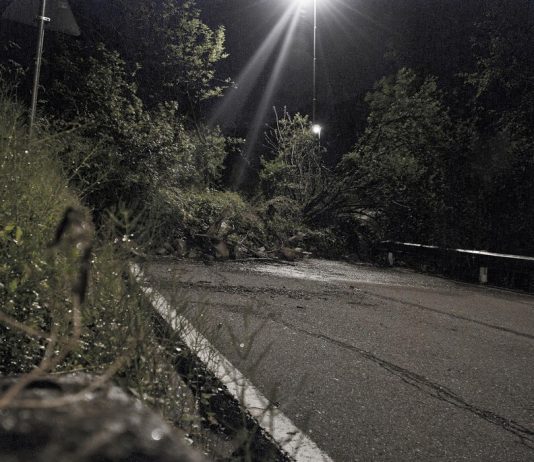 Francesco Fonassi – Crocedomini