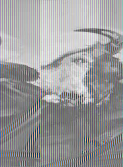 Gianni Provenzano – Sul segno degli artisti Gianni Provenzano – Sul segno degli artisti