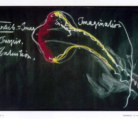 Il mondo riversato: arte e libertà nella filosofia di Rudolf Steiner