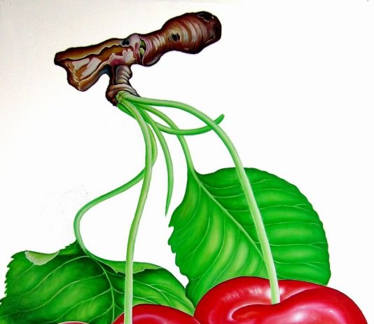 Lumetta Lucia Caricone – Naturalia