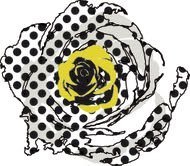 Nico – La rosa non è il mio fiore