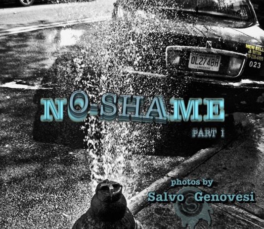 Salvo Genovesi – No shame part I. L’armonia delle differenze