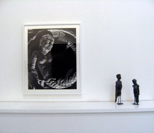 Sirenia, mostri d’acqua tra arte scienza e immaginario