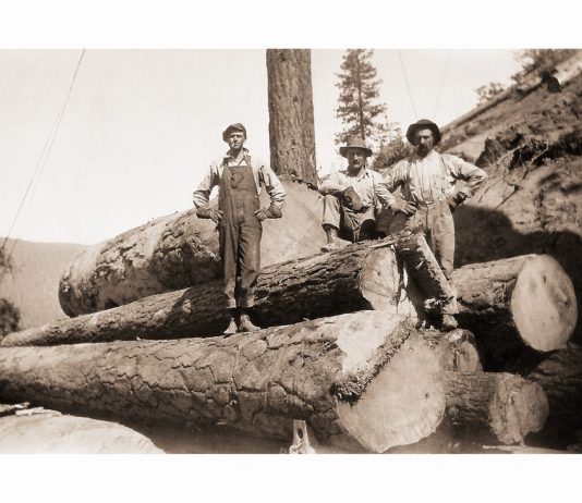 Siskiyou Road, dalla Valle Vigezzo alla California 1896-1928