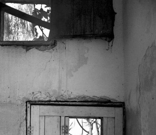 Hugler /  Cohen / Rubino