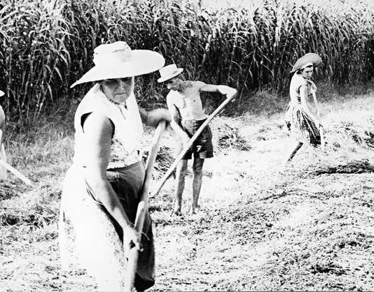 Mario Giacomelli – Lavoro contadino e paesaggio agrario