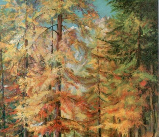 Paolo Candiani / Alessandro Poma – Cornici su Courmayeur