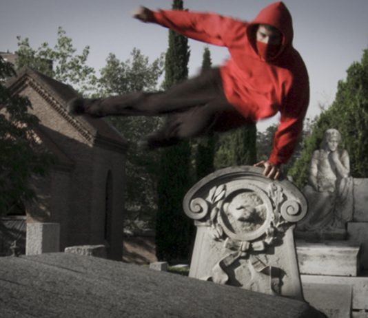 Democracia – Ser y Durar Democracia – Ser y Durar