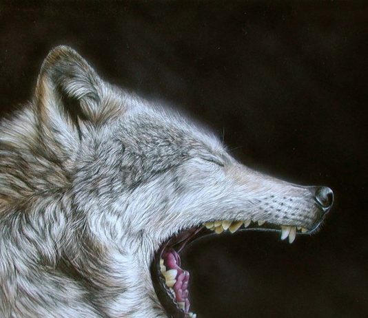 Gianluigi Alberio – Wolf