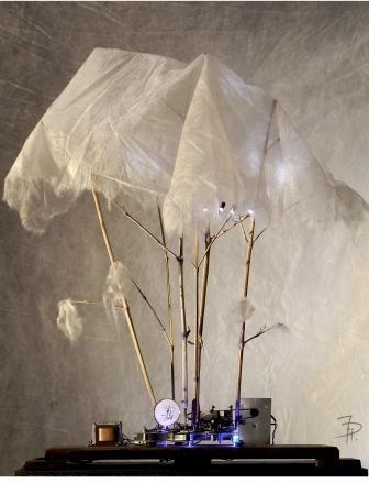 Johannes Dimpflmeier – ploetzlich wieder, all’improvviso, di nuovo