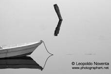 Matteo Munarin / Leopoldo Noventa – Acqua: Visioni e Riflessi Matteo Munarin / Leopoldo Noventa – Acqua: Visioni e Riflessi