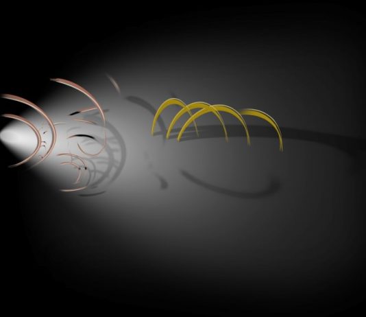 Pensatoi. Omaggio ad Antonio Marroni