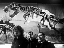 Chiara Mirelli – IT’S (NOT) ONLY ROCK’N’ROLL