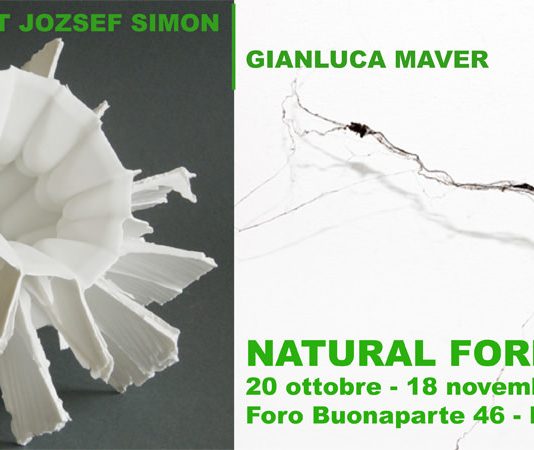 Gianluca Maver / Zsolt Jozsef Simon – Natural Forms
