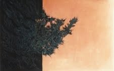 Guglielmo Clivati – Percorsi di pittura