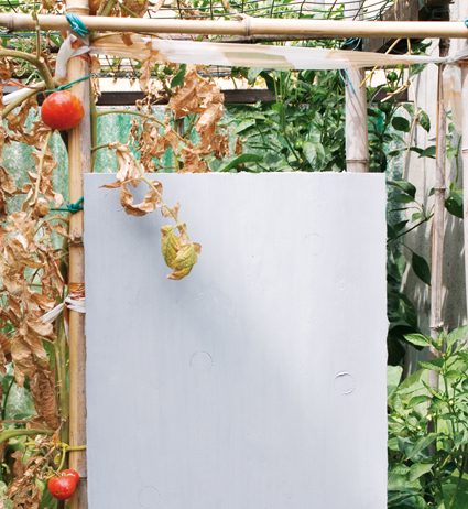 Riccardo Baruzzi – Zugzwang