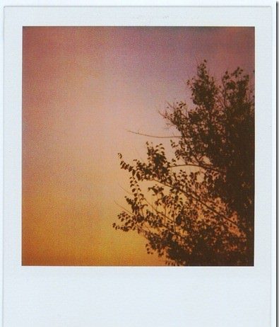 Sonia Guazzoni – Imprecisa-mente